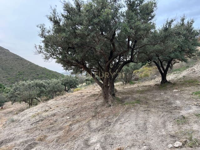 Grunde uden byggetilladelser til salg i Molvízar - € 40.000 (Ref: 9308774)