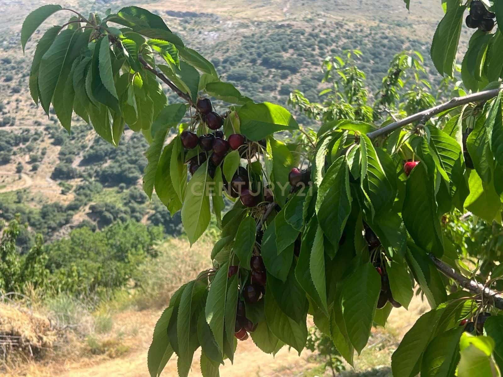 Finca/Landehus til salg i Guejar Sierra - € 89.000 (Ref: 9308787)