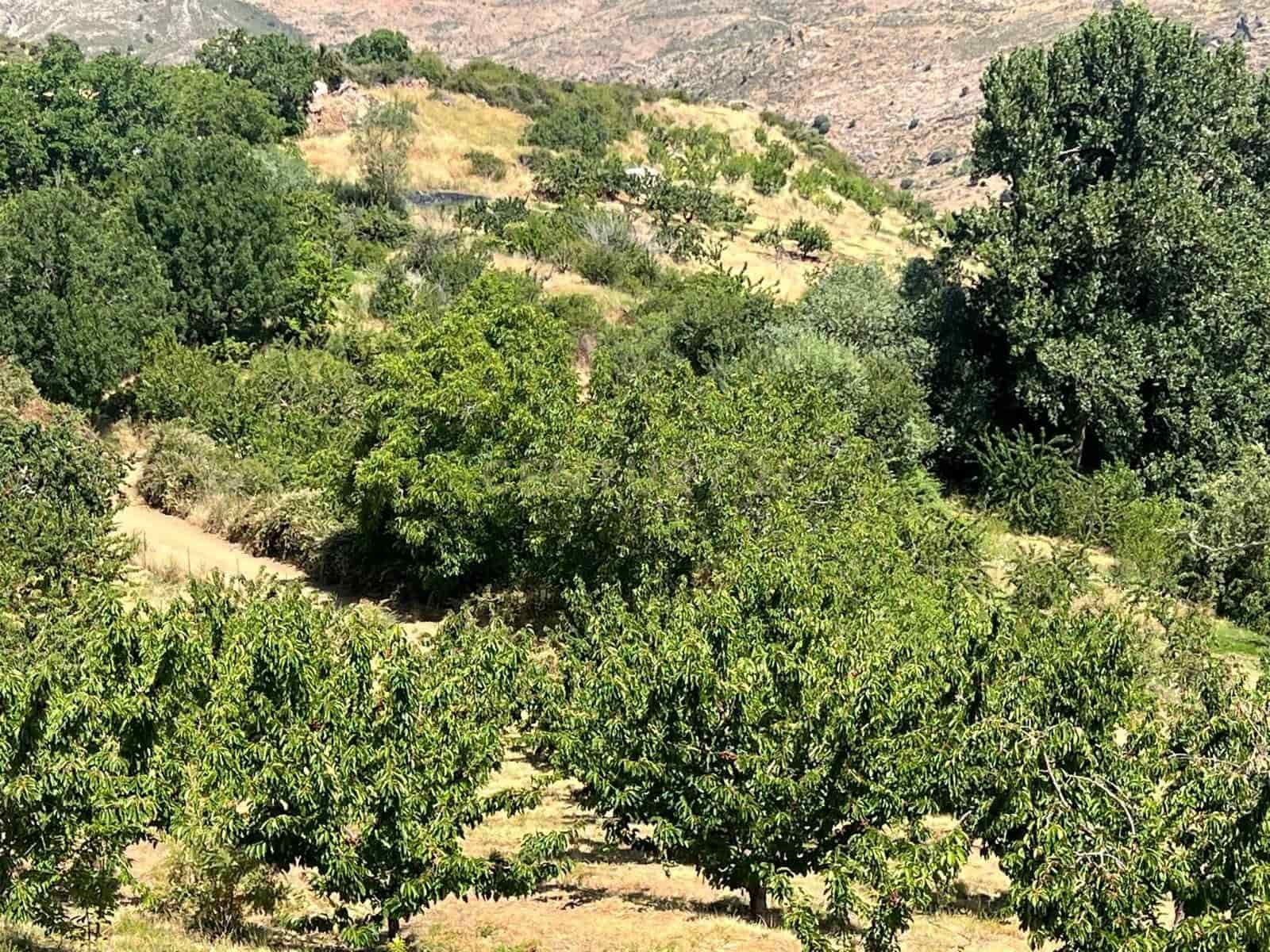 Finca/Landehus til salg i Guejar Sierra - € 89.000 (Ref: 9308787)