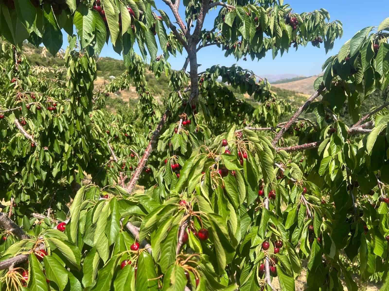 Finca/Landehus til salg i Guejar Sierra - € 89.000 (Ref: 9308787)