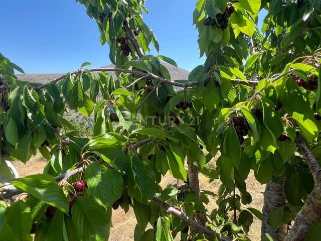 Finca/Landehus til salg i Güéjar Sierra - € 89.000 (Ref: 9308787)