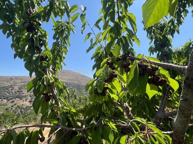 Finca/Landehus til salg i Güéjar Sierra - € 89.000 (Ref: 9308787)