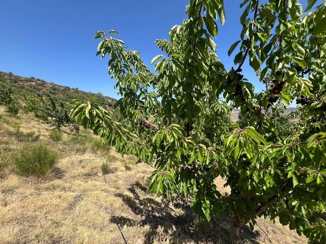 Finca/Landehus til salg i Güéjar Sierra - € 89.000 (Ref: 9308787)