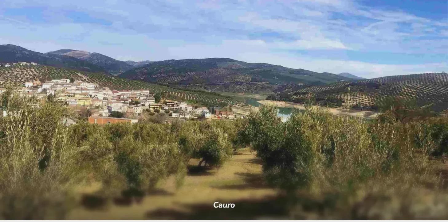 3 soveværelse Finca/Landehus til salg i Colomera med swimmingpool - € 159.000 (Ref: 9308796)