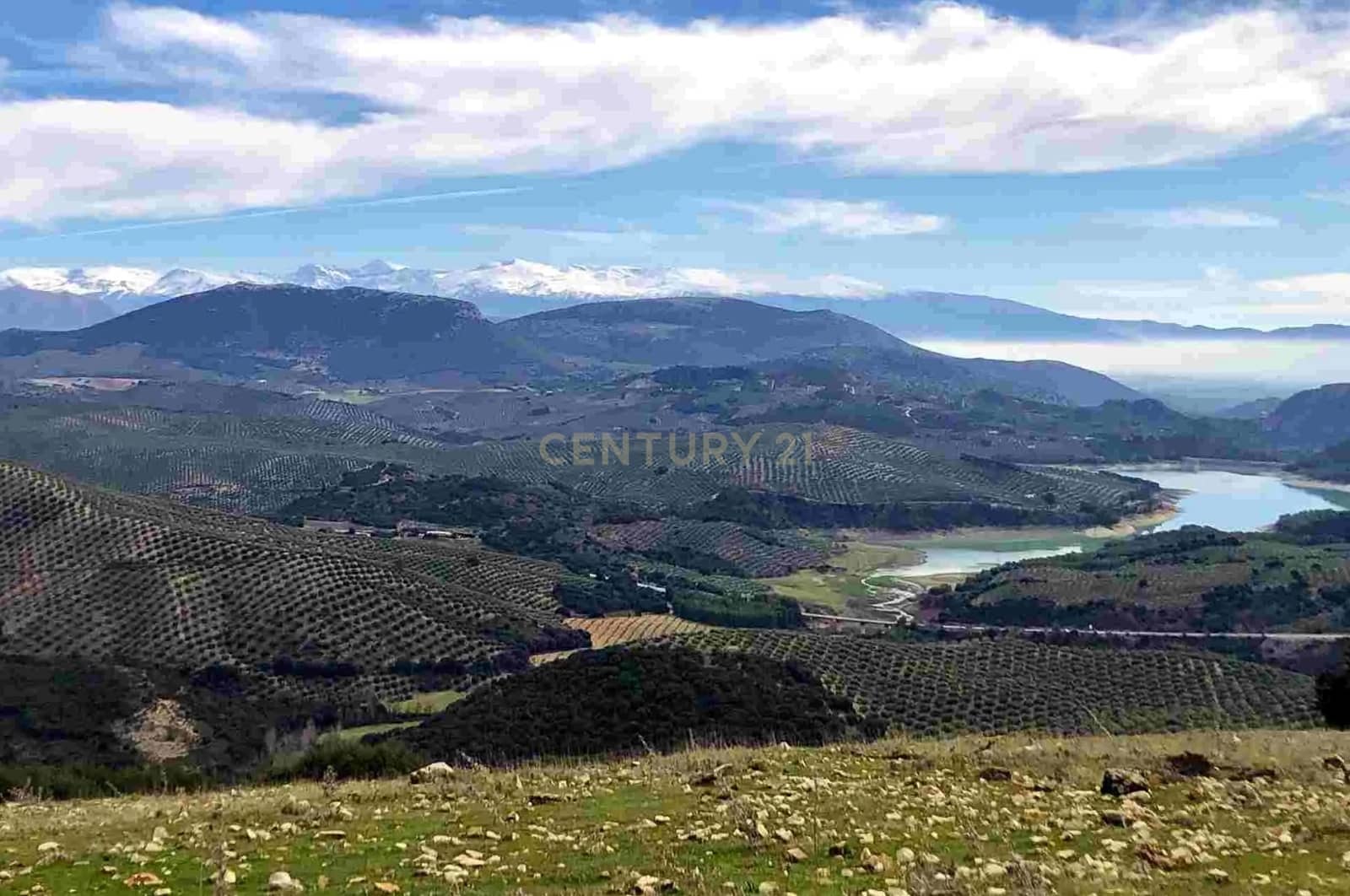 3 soveværelse Finca/Landehus til salg i Colomera med swimmingpool - € 159.000 (Ref: 9308796)