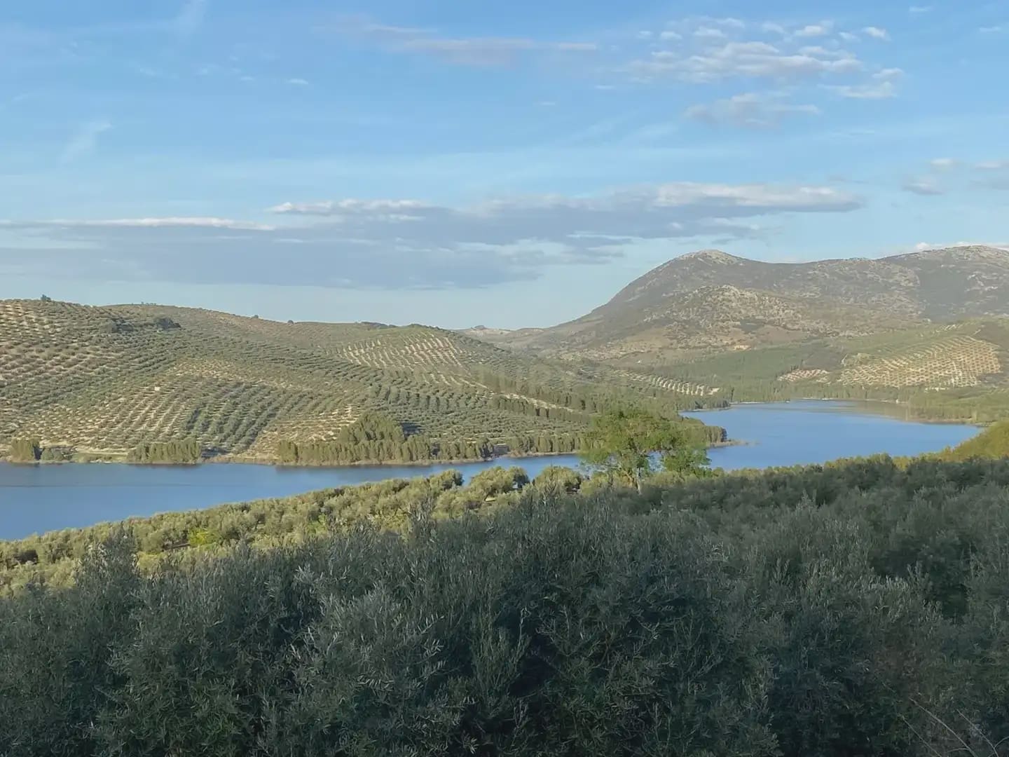 3 soveværelse Finca/Landehus til salg i Colomera med swimmingpool - € 139.900 (Ref: 9308796)