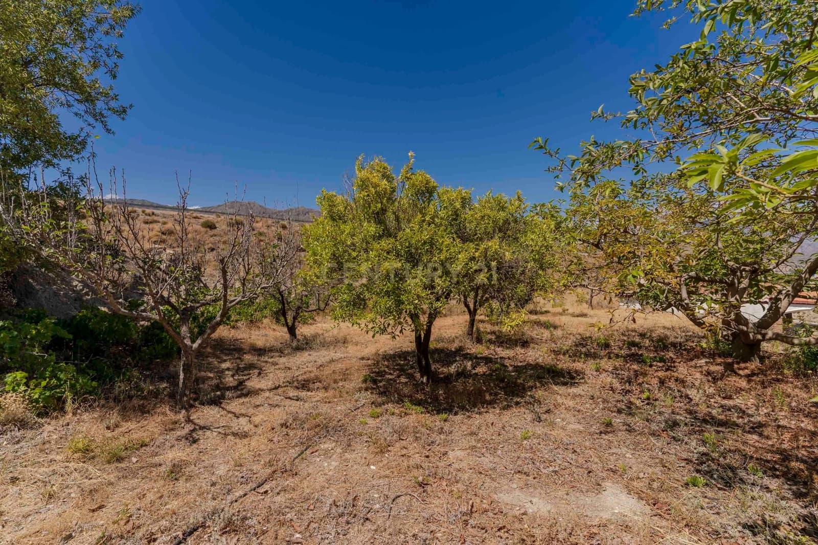 1 quarto Quinta/Casa Rural para venda em Salobrena - 130 000 € (Ref: 9309208)