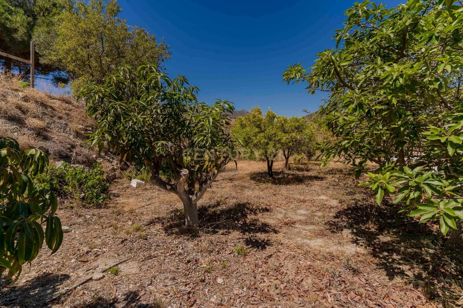 1 quarto Quinta/Casa Rural para venda em Salobrena - 130 000 € (Ref: 9309208)