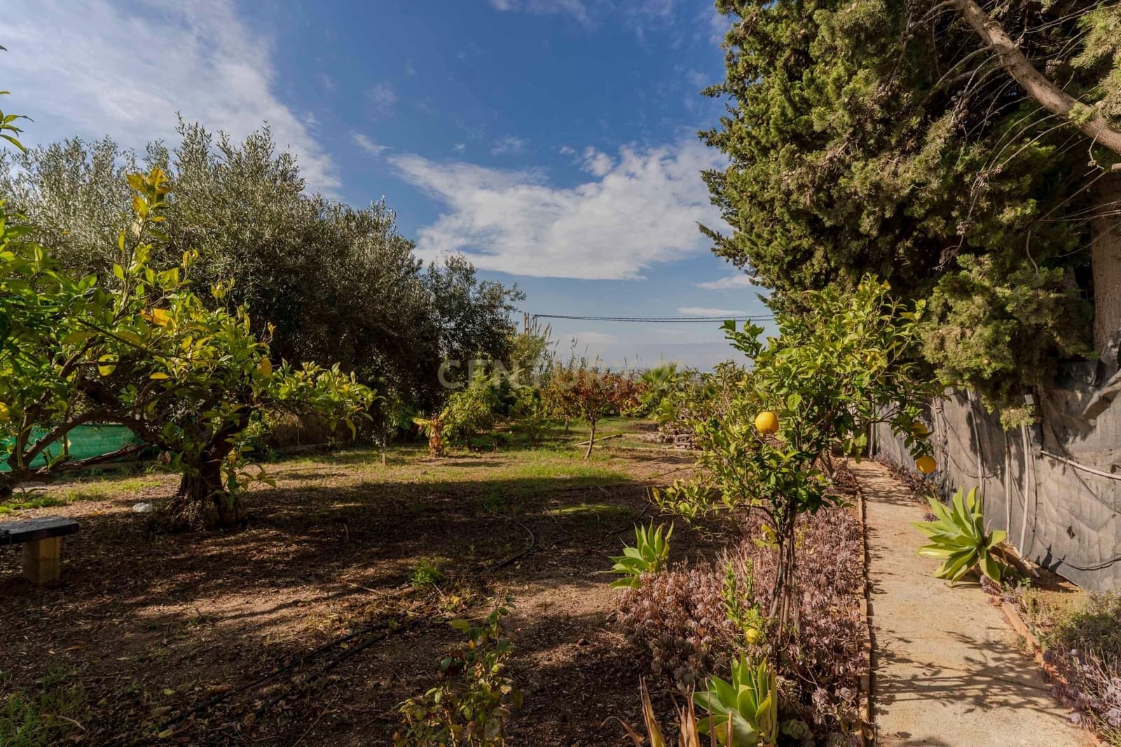 3 bedroom Finca/Country House for sale in La Garnatilla with garage - € 280,000 (Ref: 9368962)