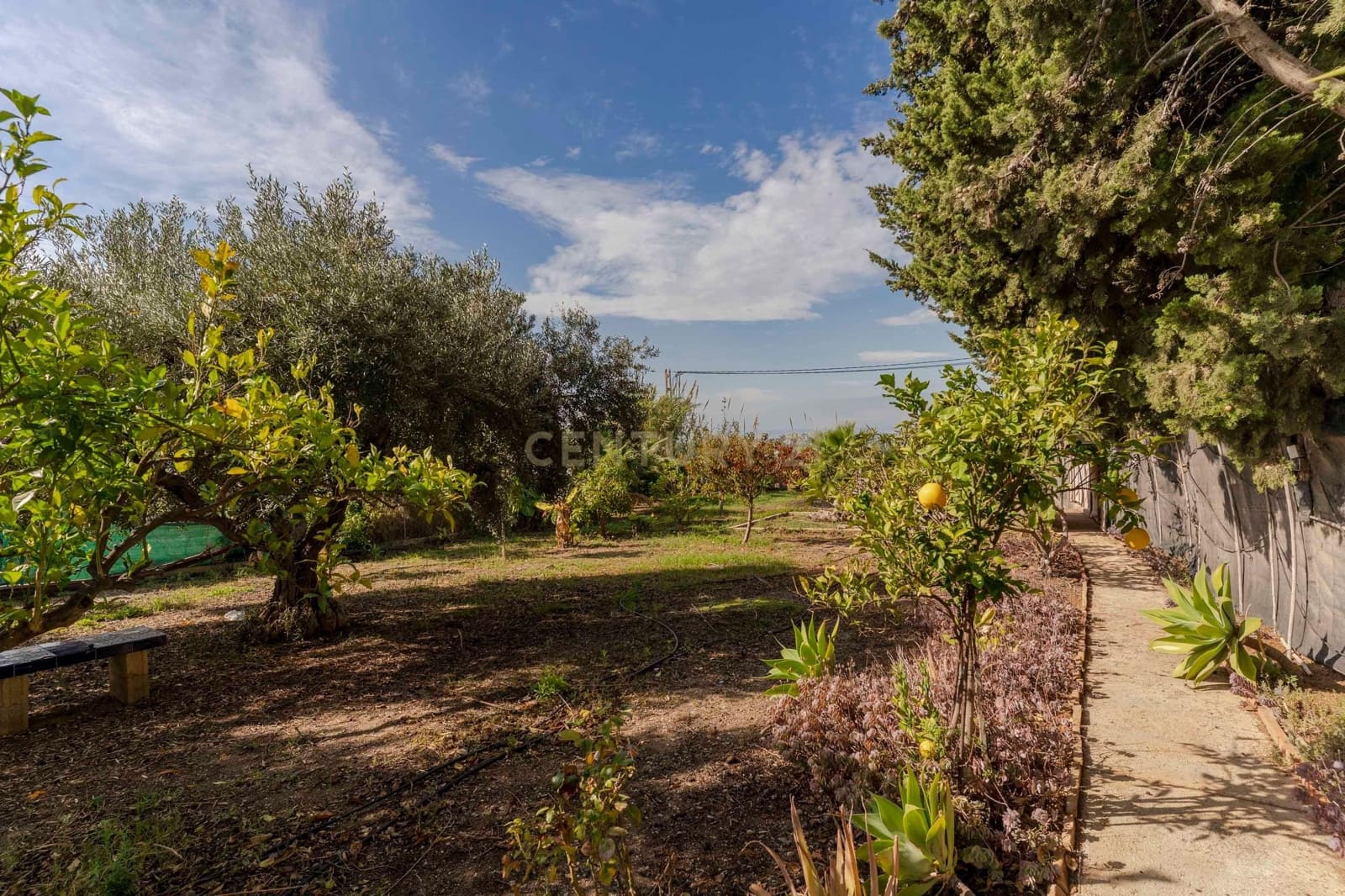 3 bedroom Finca/Country House for sale in La Garnatilla with garage - € 280,000 (Ref: 9368962)