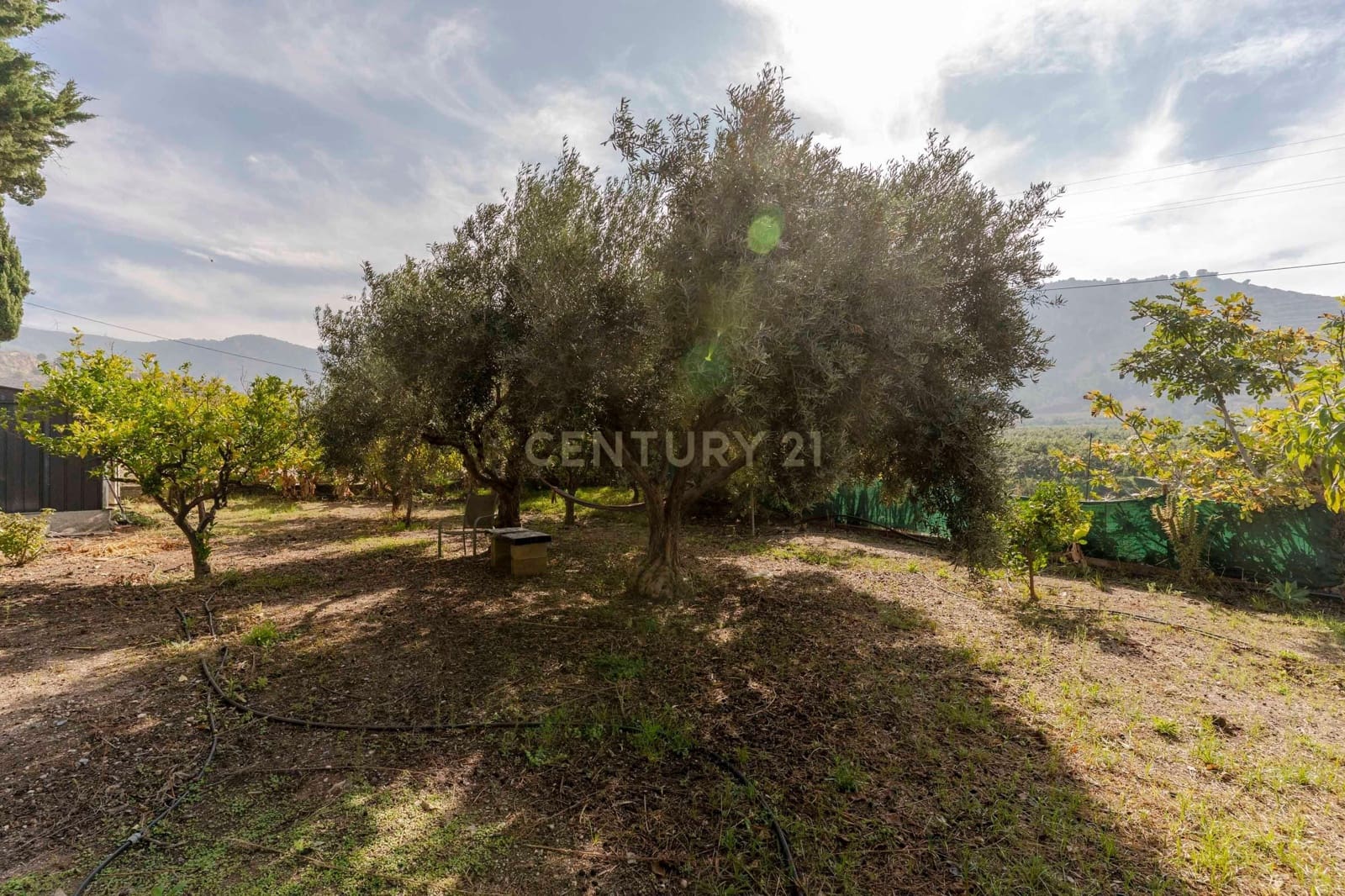 3 bedroom Finca/Country House for sale in La Garnatilla with garage - € 280,000 (Ref: 9368962)