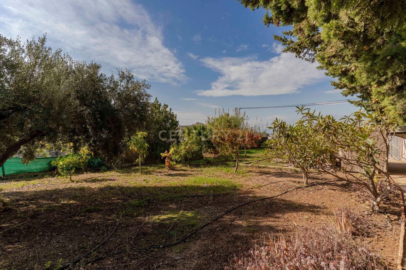 3 bedroom Finca/Country House for sale in La Garnatilla with garage - € 280,000 (Ref: 9368962)