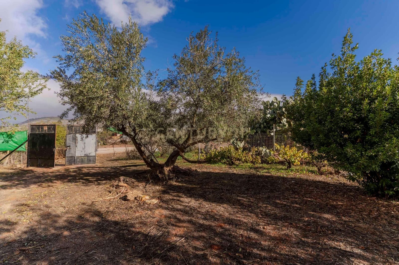 Finca/Landhuis te koop in Villamena - € 129.990 (Ref: 9372329)