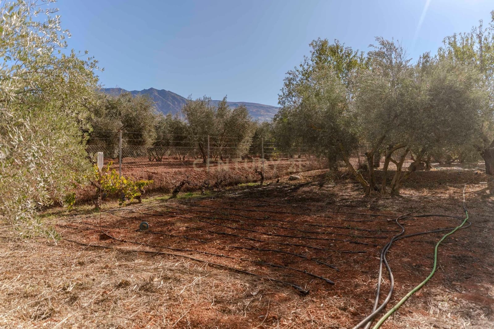 Finca/Landhuis te koop in Villamena - € 129.990 (Ref: 9372329)