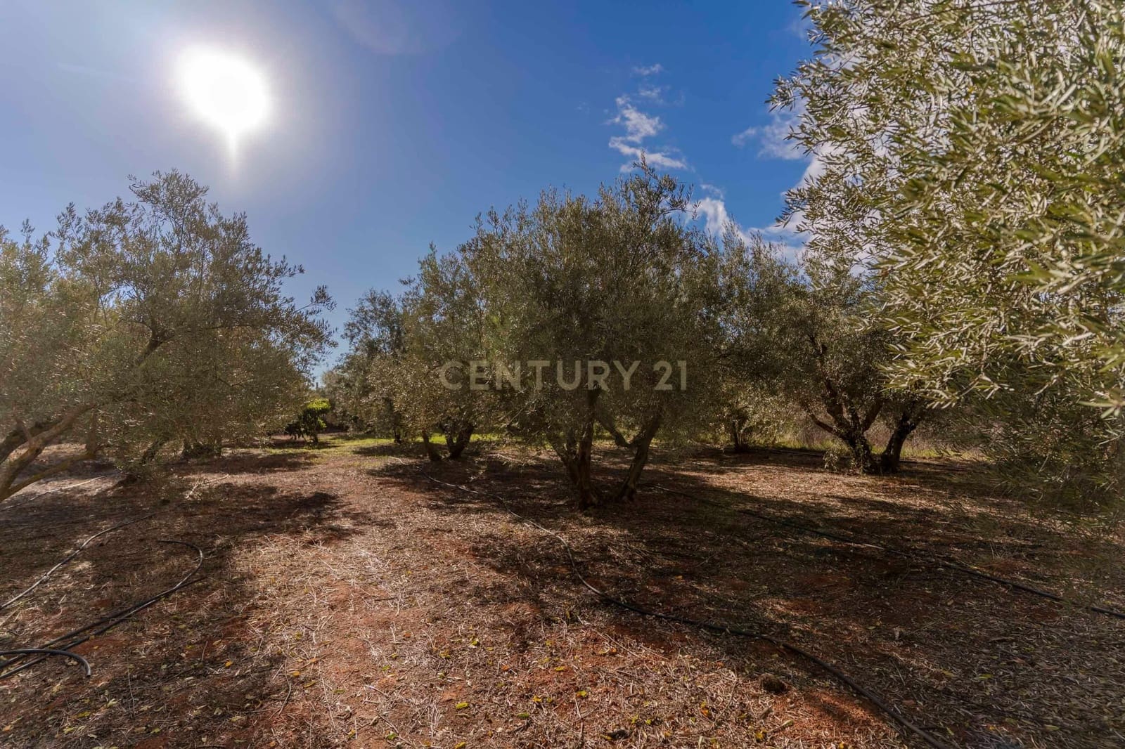 Finca/Landhuis te koop in Villamena - € 129.990 (Ref: 9372329)