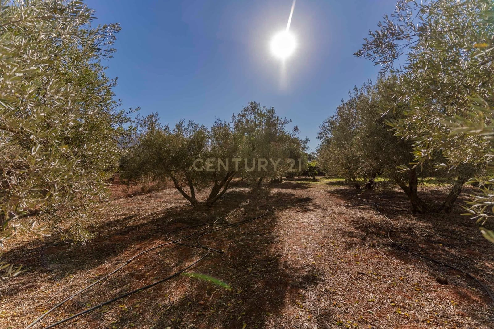 Finca/Landhuis te koop in Villamena - € 129.990 (Ref: 9372329)