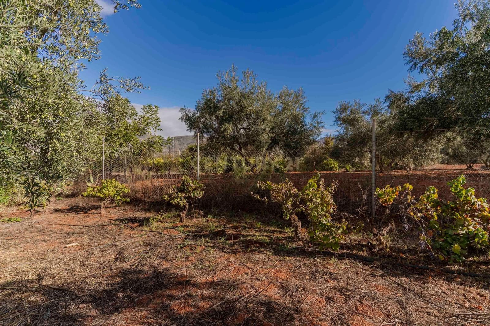 Finca/Landhuis te koop in Villamena - € 129.990 (Ref: 9372329)