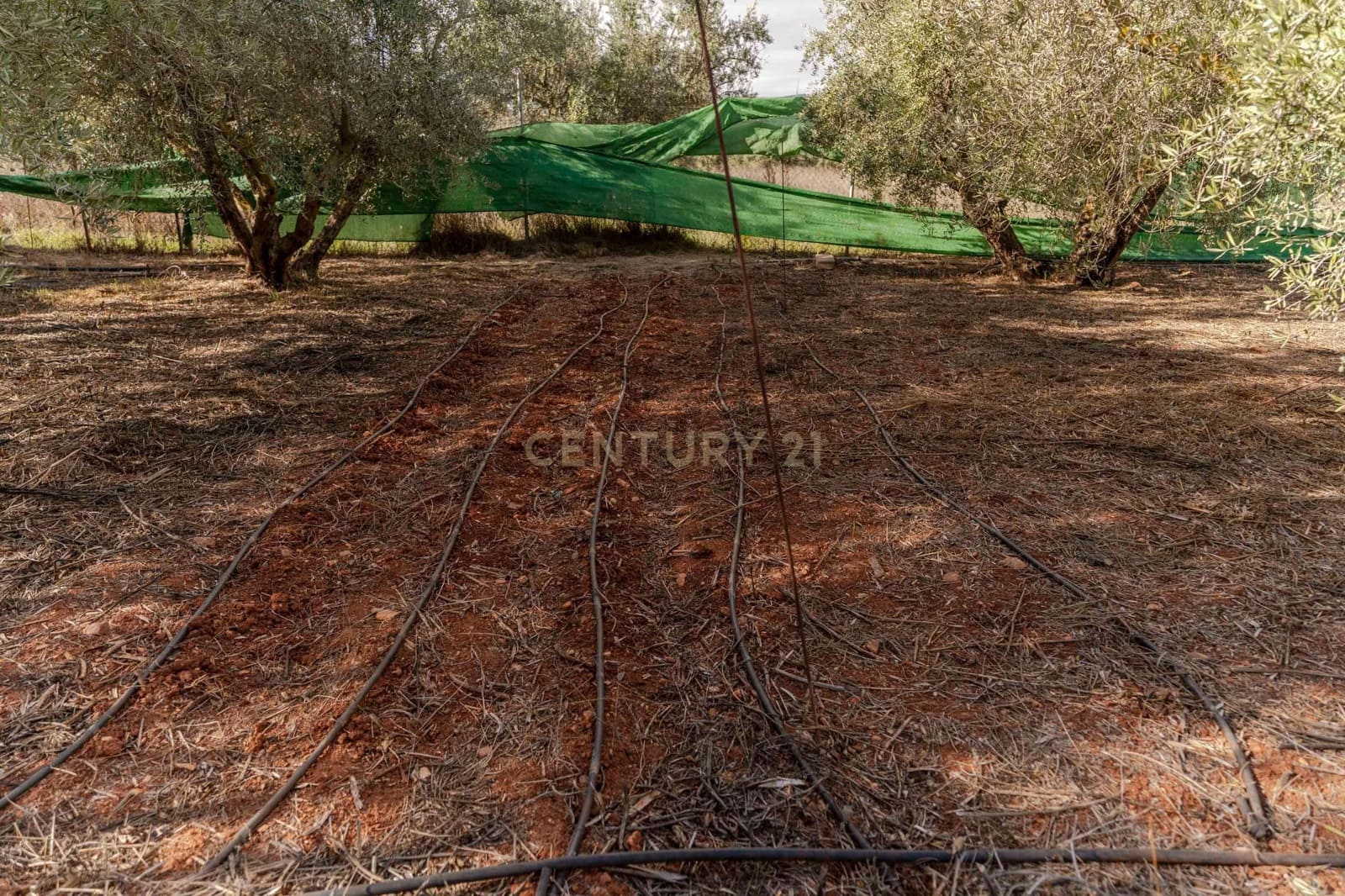 Finca/Landhuis te koop in Villamena - € 129.990 (Ref: 9372329)