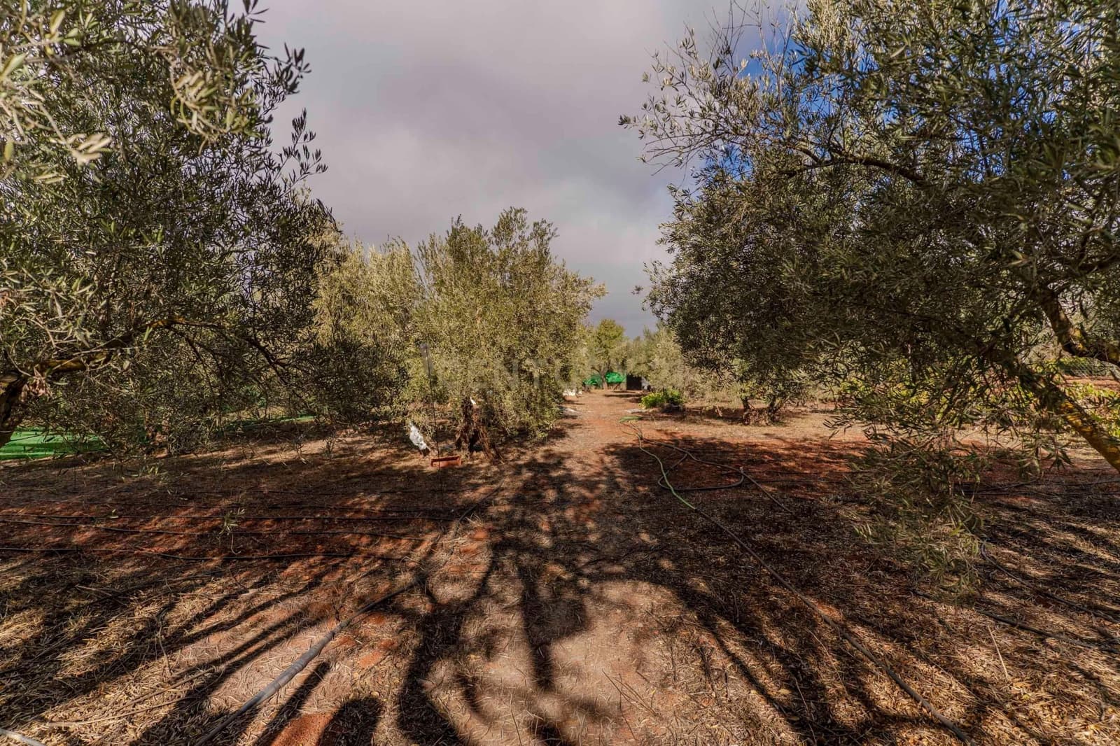 Finca/Landhuis te koop in Villamena - € 129.990 (Ref: 9372329)