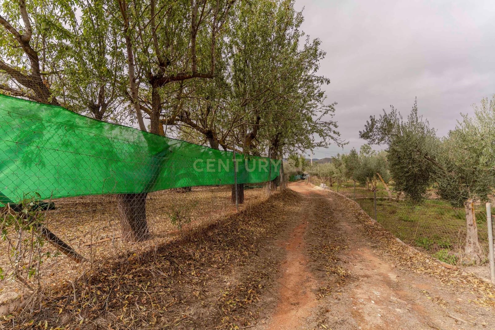 Finca/Landhuis te koop in Villamena - € 129.990 (Ref: 9372329)