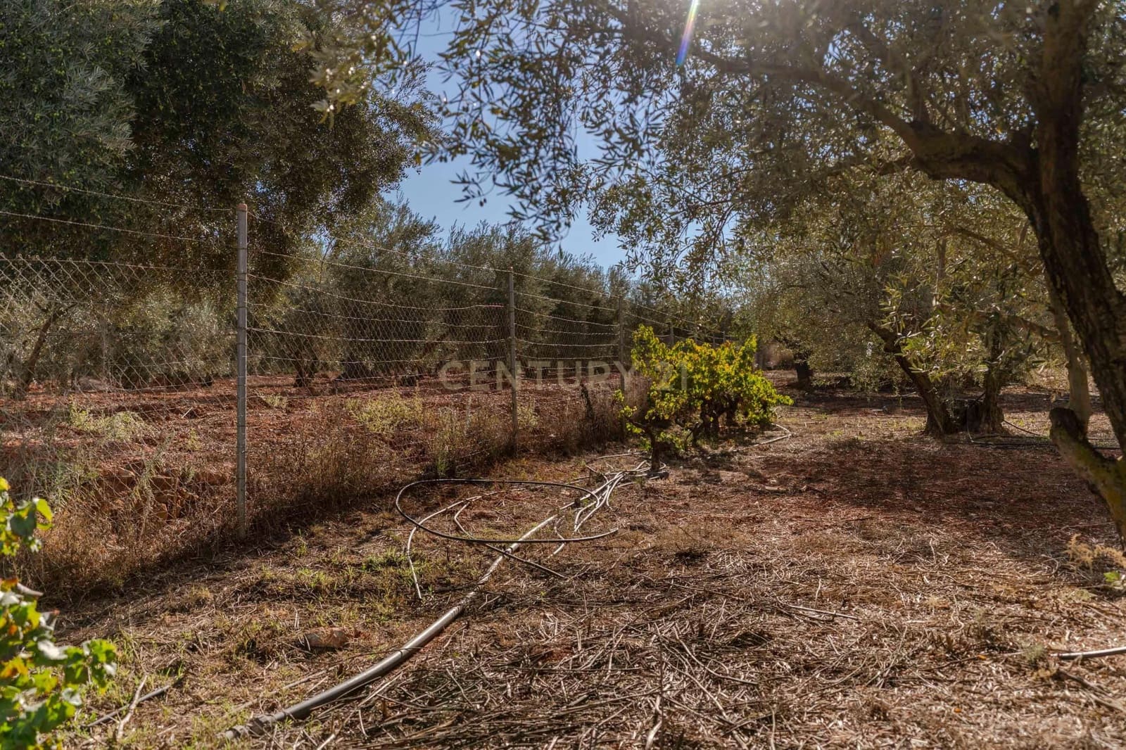 Finca/Landhuis te koop in Villamena - € 129.990 (Ref: 9372329)