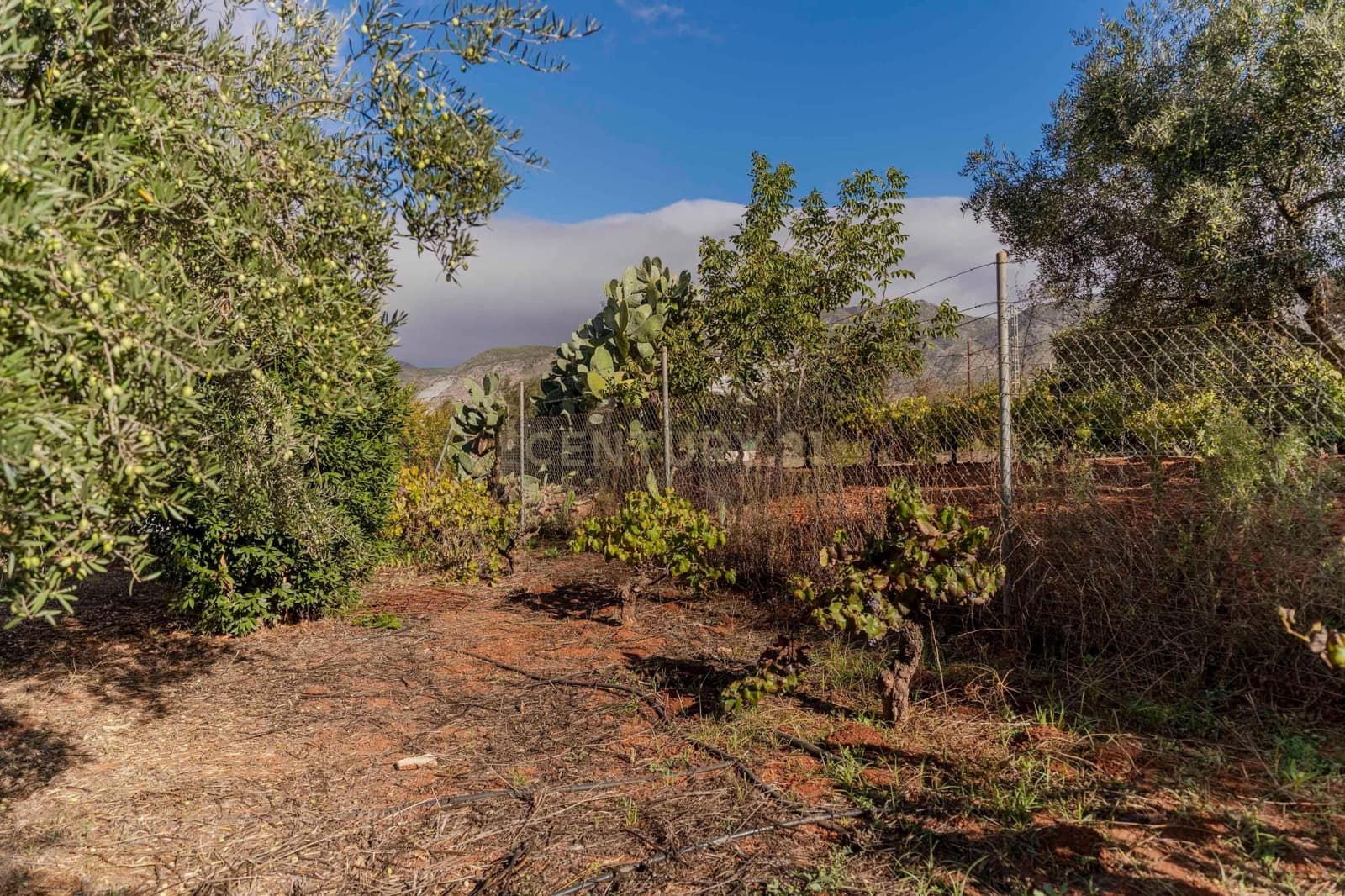 Finca/Landhuis te koop in Villamena - € 129.990 (Ref: 9372329)