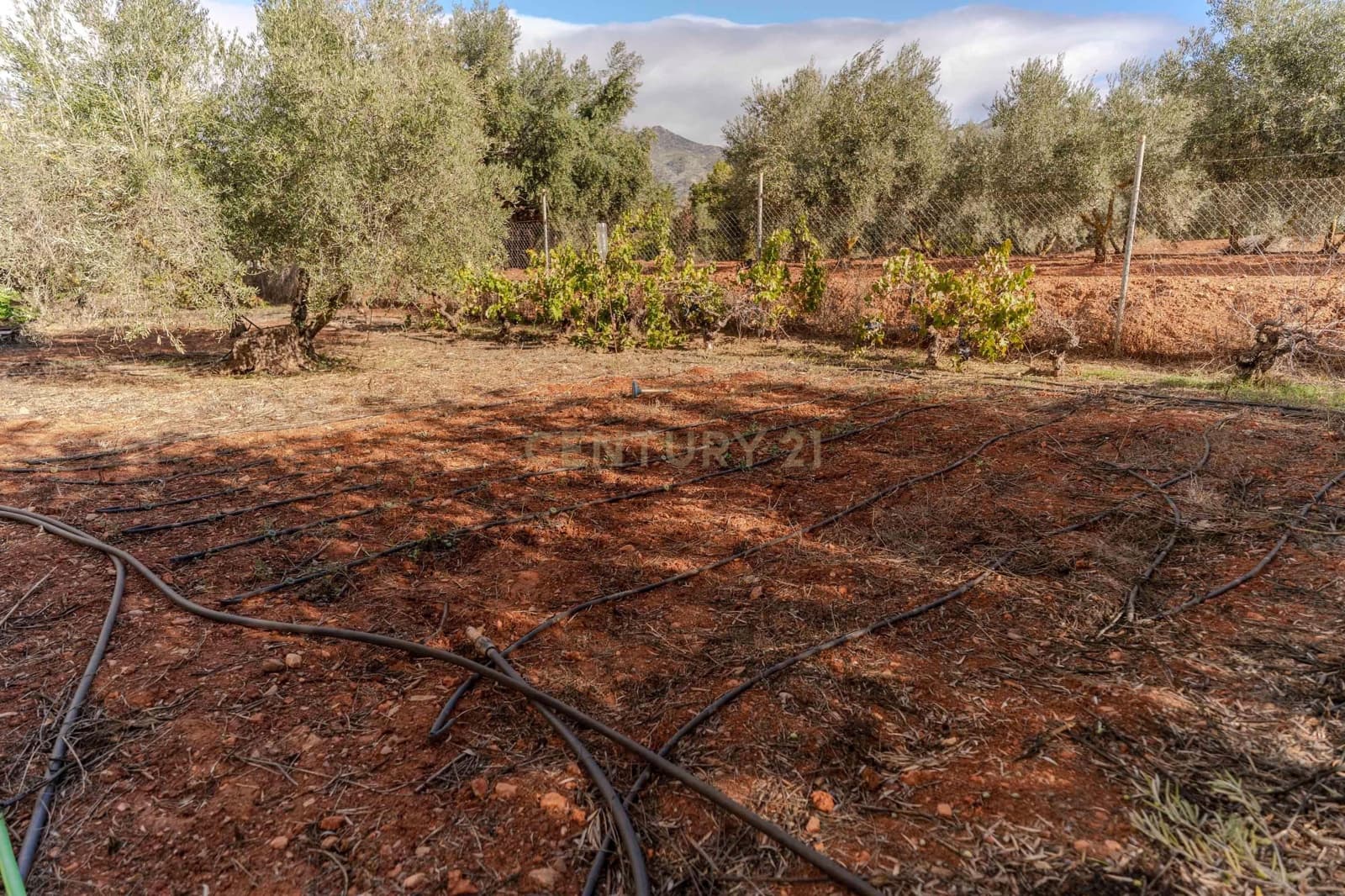 Finca/Landhuis te koop in Villamena - € 129.990 (Ref: 9372329)