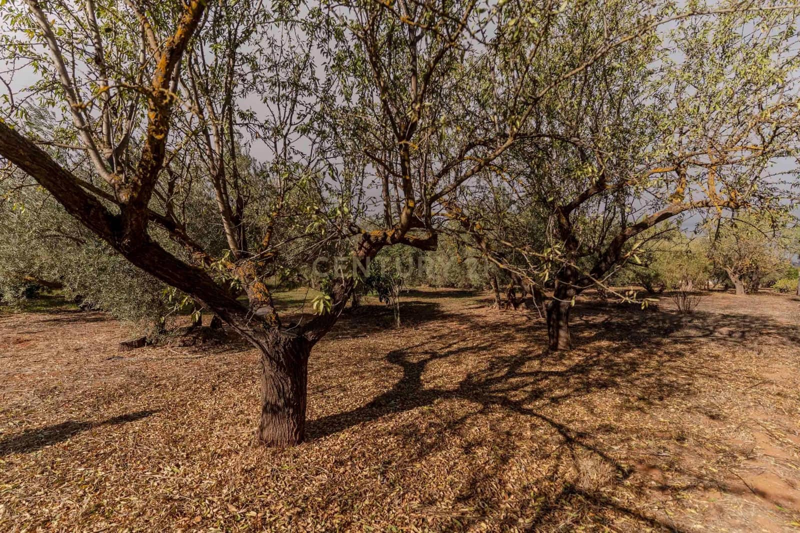 1 sypialnia Finka/Dom wiejski na sprzedaż w Villamena - 129 990 € (Ref: 9372330)