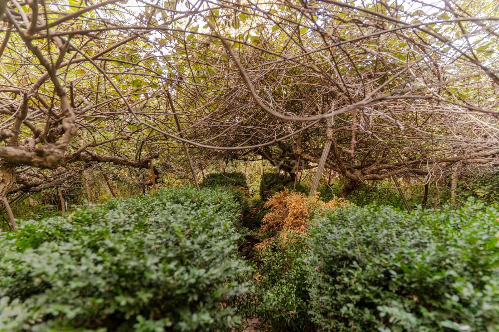 4 soveværelse Finca/Landehus til salg i Cadiar - € 70.000 (Ref: 9386010)