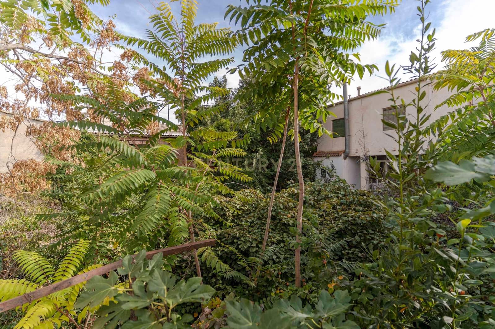 4 soveværelse Finca/Landehus til salg i Cadiar - € 70.000 (Ref: 9386010)