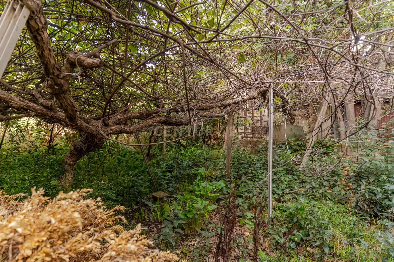 4 soveværelse Finca/Landehus til salg i Cadiar - € 70.000 (Ref: 9386010)