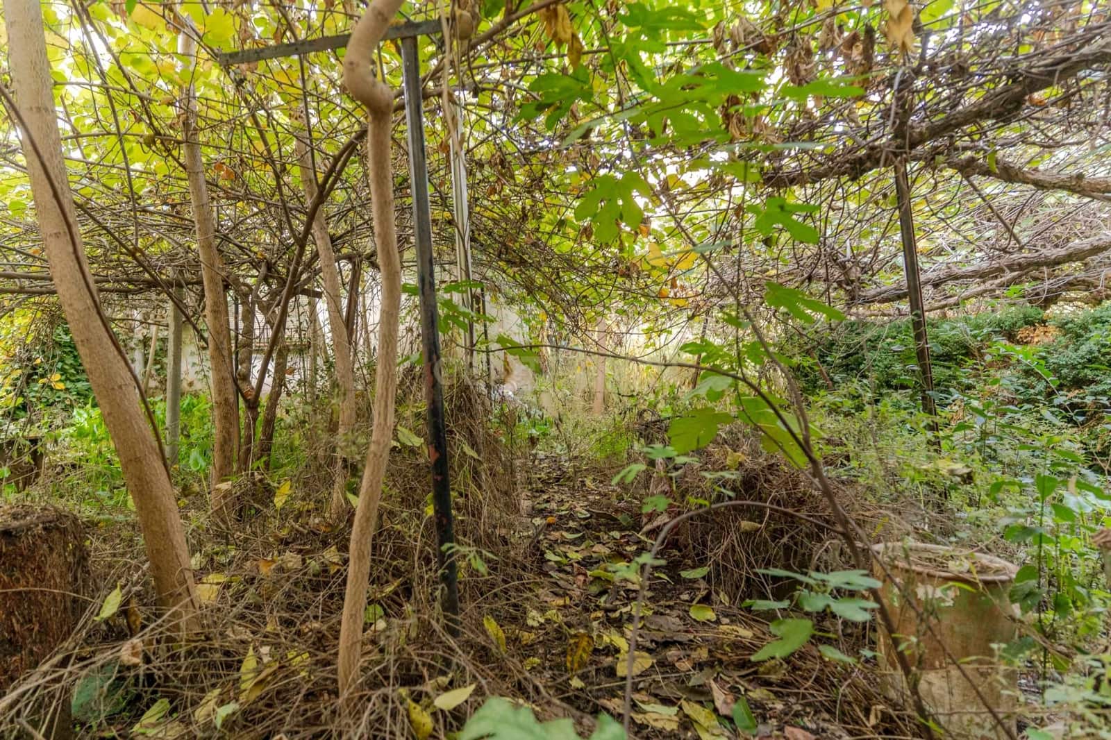 4 soveværelse Finca/Landehus til salg i Cadiar - € 70.000 (Ref: 9386010)