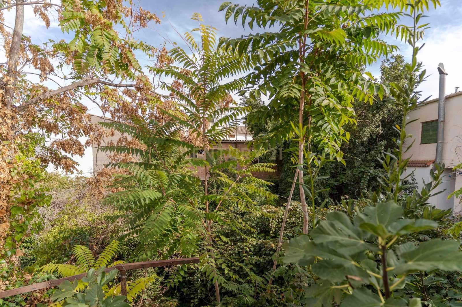 4 soveværelse Finca/Landehus til salg i Cadiar - € 70.000 (Ref: 9386010)