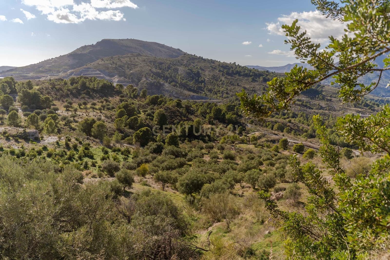 Finca/Landgut zu verkaufen in Velez de Benaudalla - 68.000 € (Ref: 9460940)