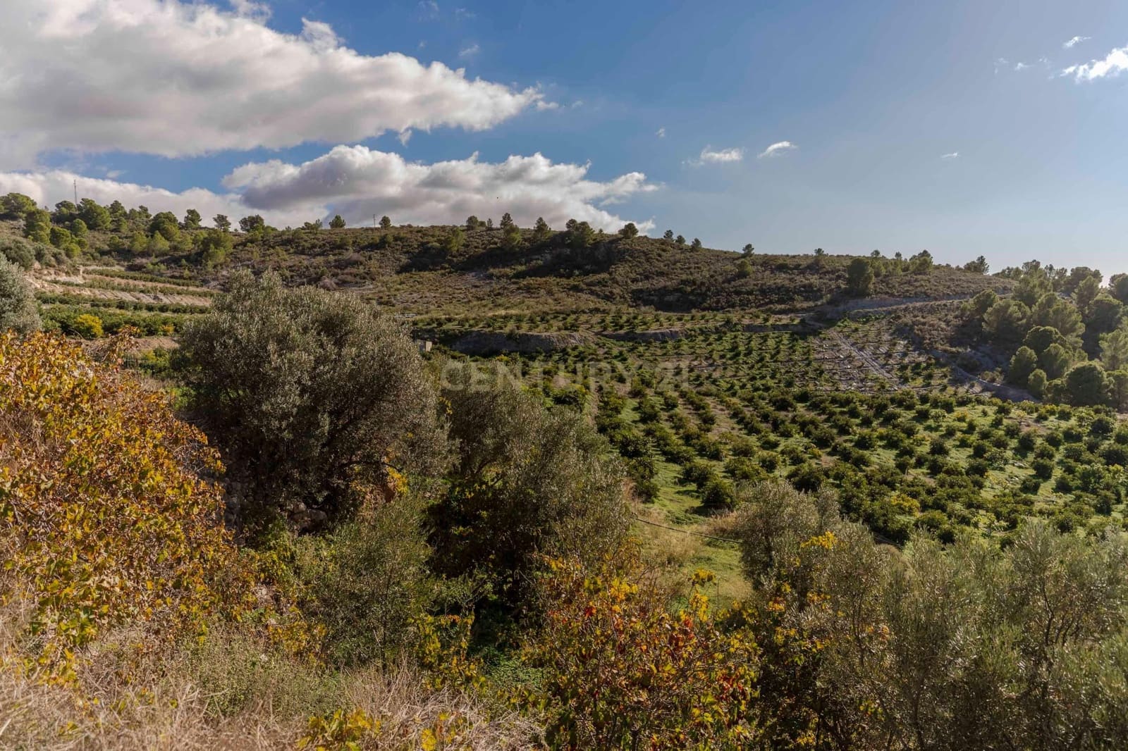 Finca/Landgut zu verkaufen in Velez de Benaudalla - 68.000 € (Ref: 9460940)