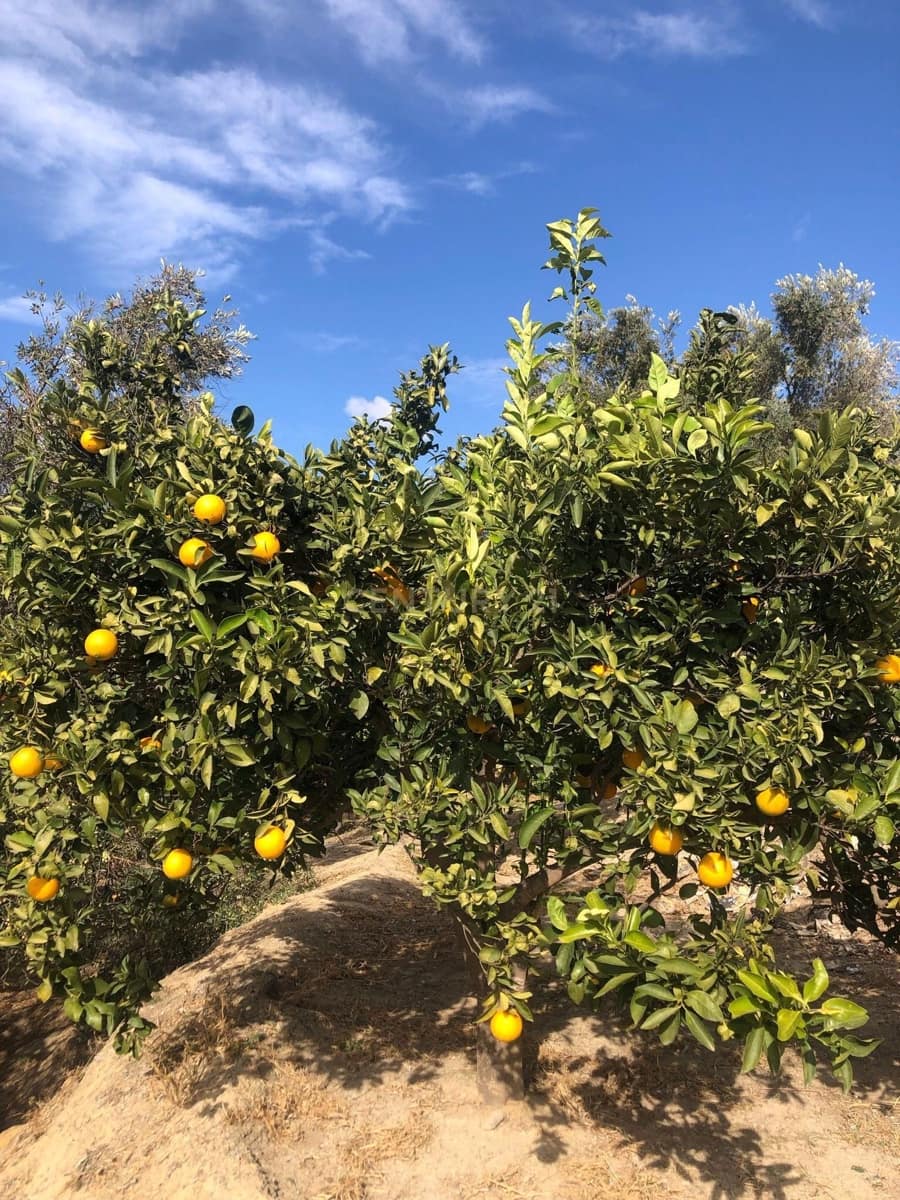 Finca/Landehus til salg i Lecrin - € 295.000 (Ref: 9481582)