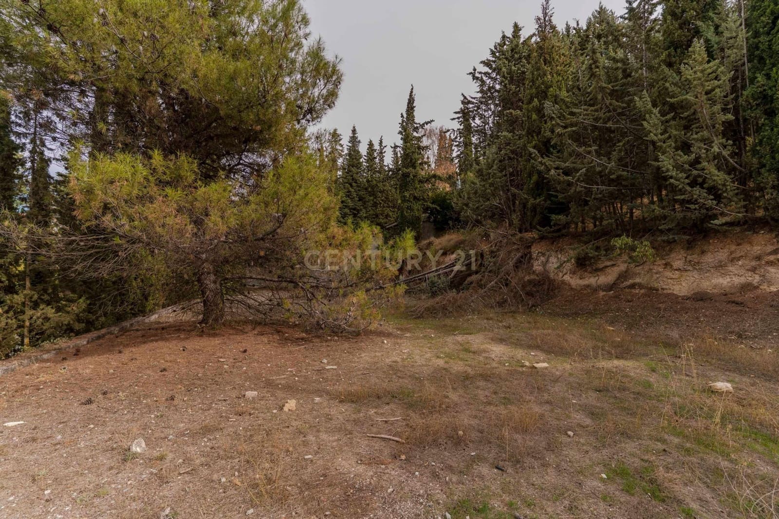 Terreno Não Urbanizado para venda em La Zubia - 140 000 € (Ref: 9495574)