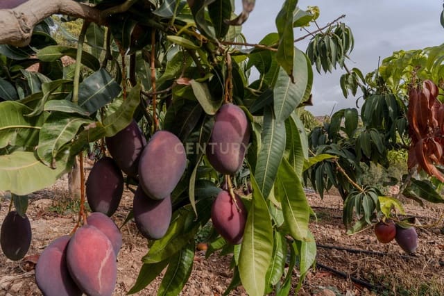 Finca/Landehus til salg i Gualchos - € 120.000 (Ref: 9525915)