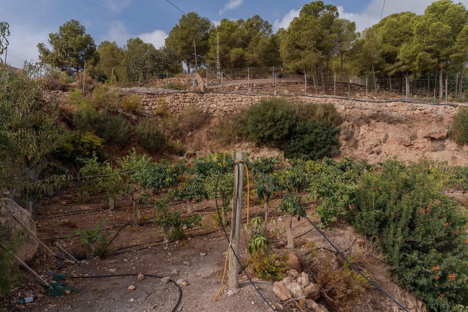 Finca/Landehus til salg i Gualchos - € 120.000 (Ref: 9525915)