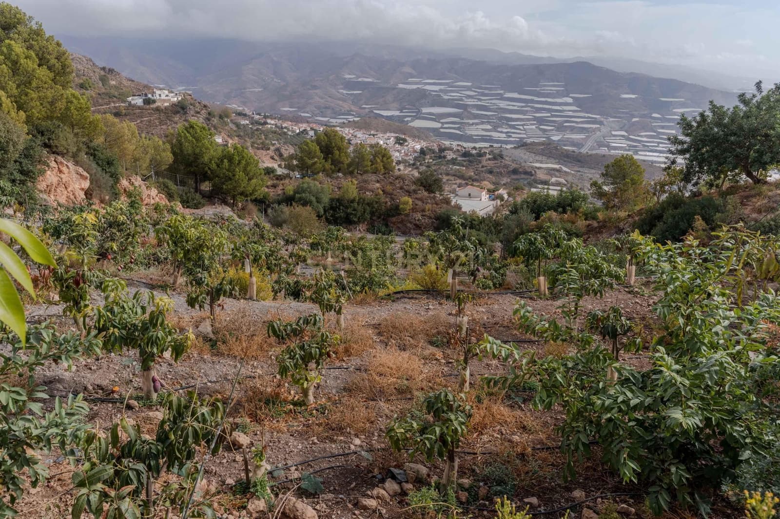 Finca/Landehus til salg i Gualchos - € 120.000 (Ref: 9525915)