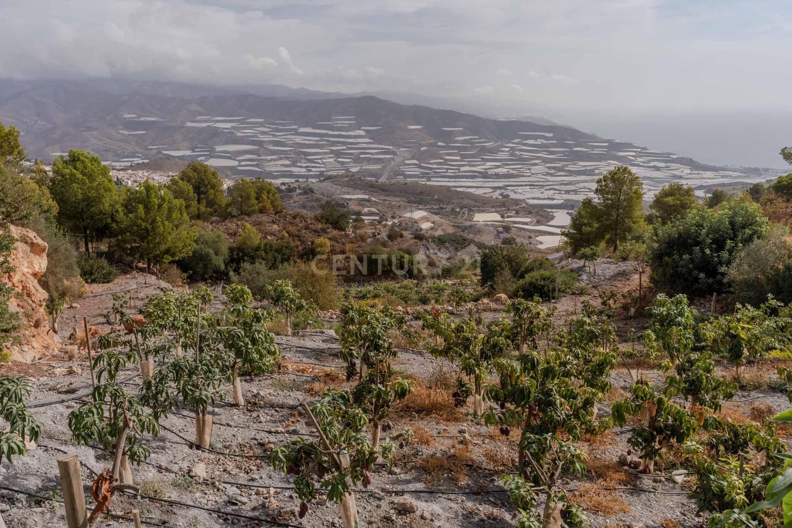 Finca/Landehus til salg i Gualchos - € 120.000 (Ref: 9525915)