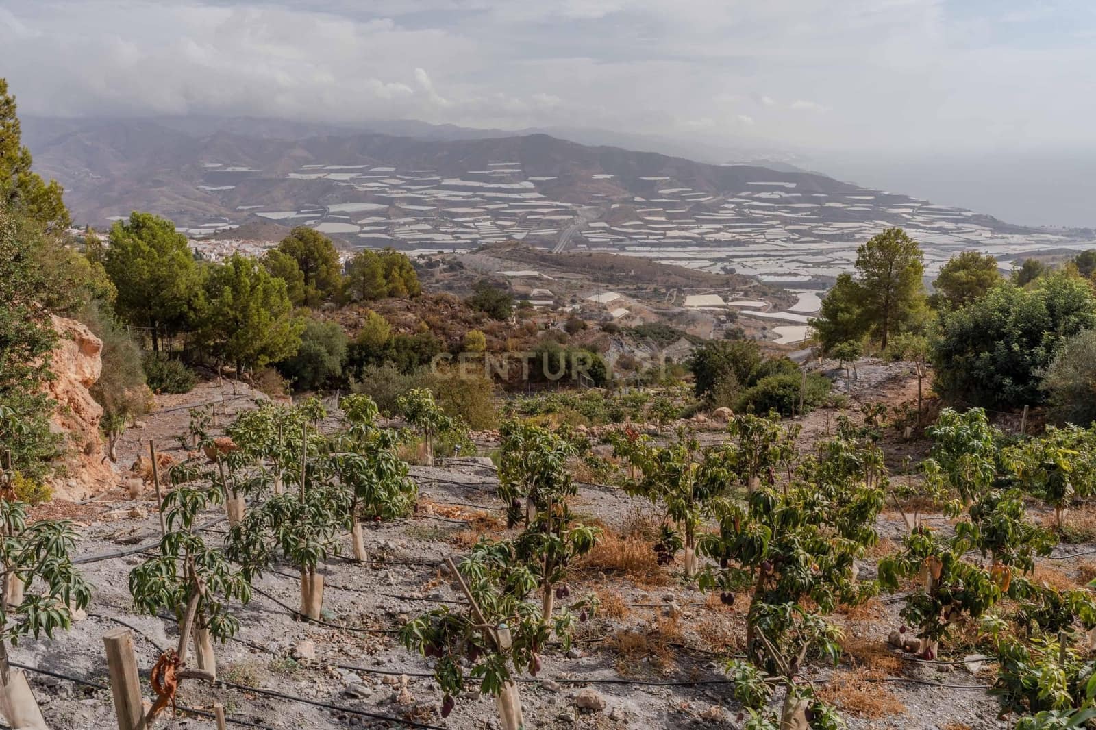 Finca/Landehus til salg i Gualchos - € 120.000 (Ref: 9525915)