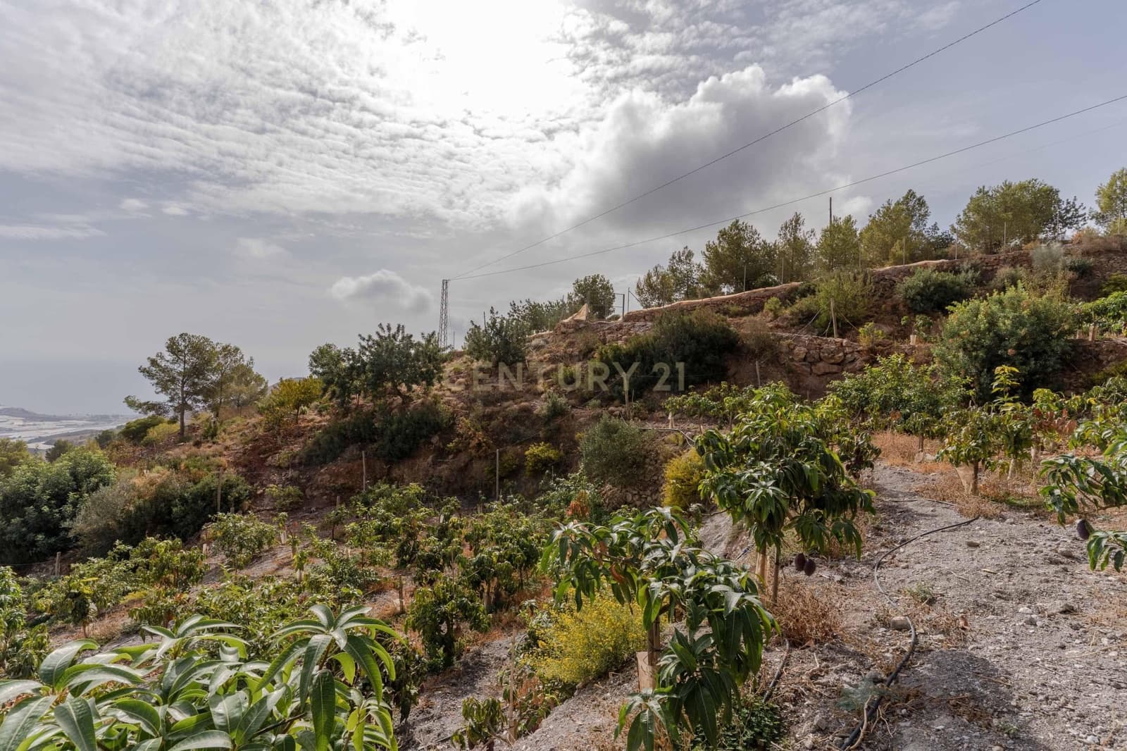 Finca/Landehus til salg i Gualchos - € 120.000 (Ref: 9525915)