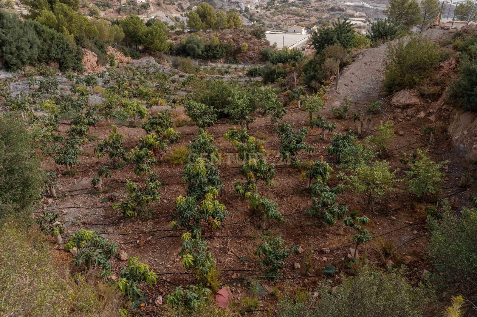 Finca/Landehus til salg i Gualchos - € 120.000 (Ref: 9525915)