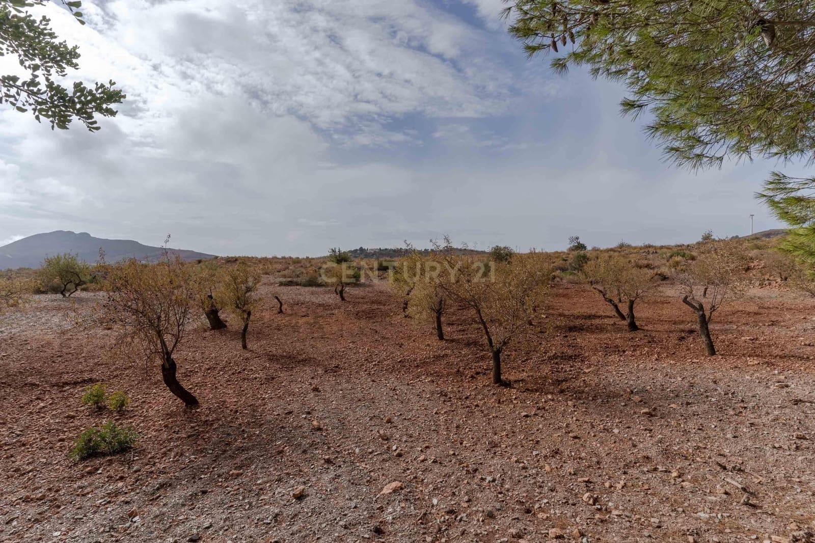 Finca/Landehus til salg i Gualchos - € 120.000 (Ref: 9525915)