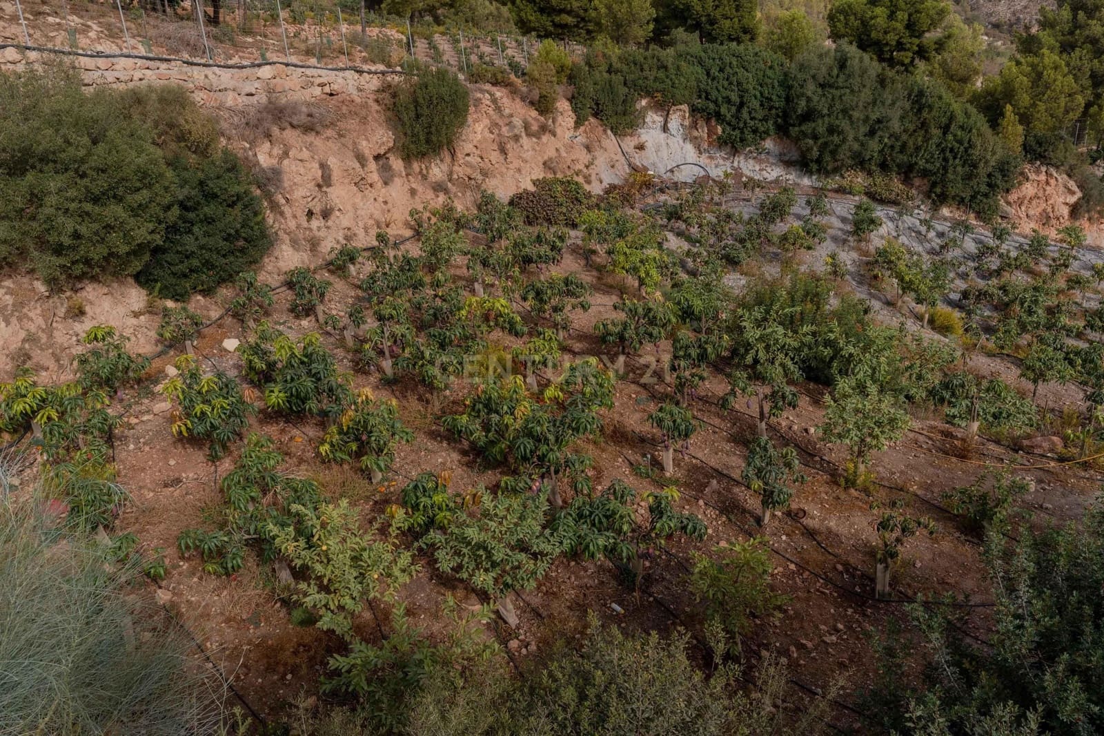 Finca/Landehus til salg i Gualchos - € 120.000 (Ref: 9525915)