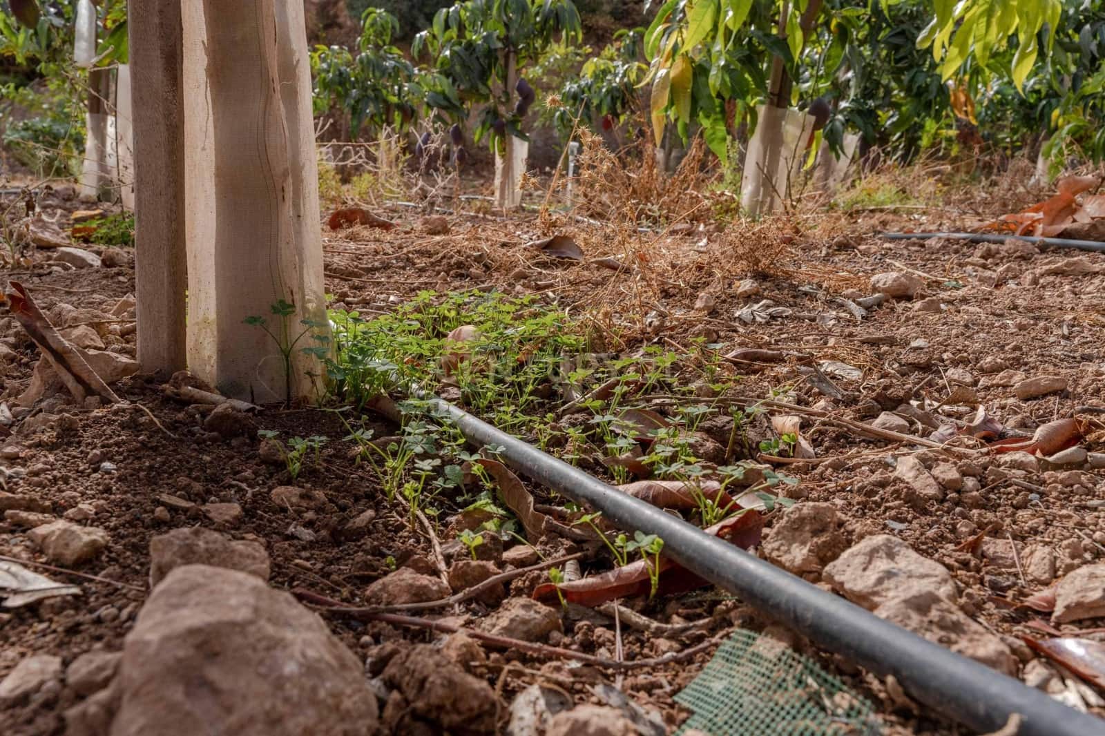 Finca/Landehus til salg i Gualchos - € 120.000 (Ref: 9525915)