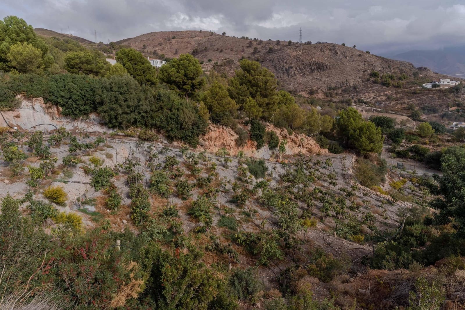 Finca/Landehus til salg i Gualchos - € 120.000 (Ref: 9525915)