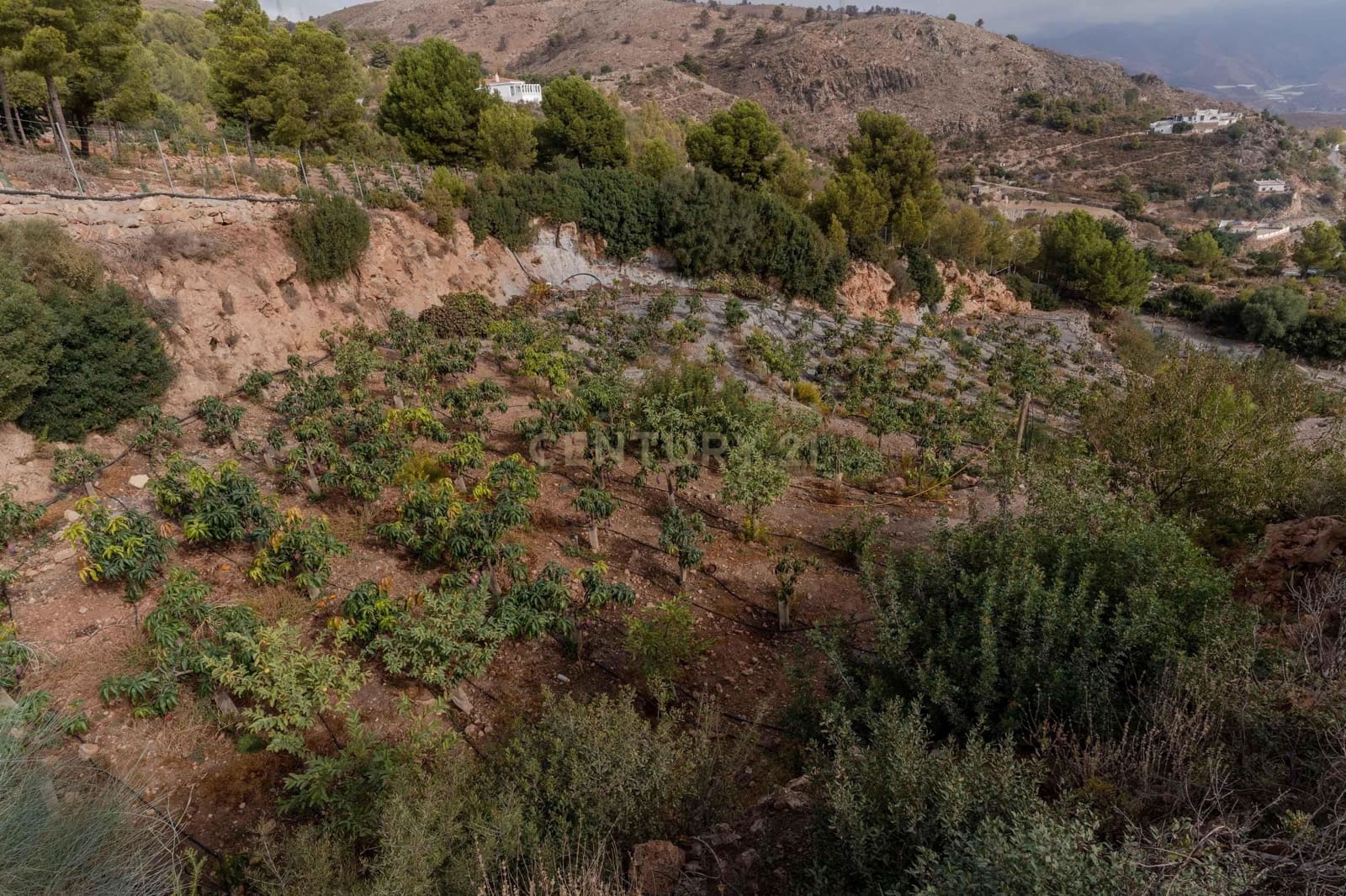 Finca/Landehus til salg i Gualchos - € 120.000 (Ref: 9525915)