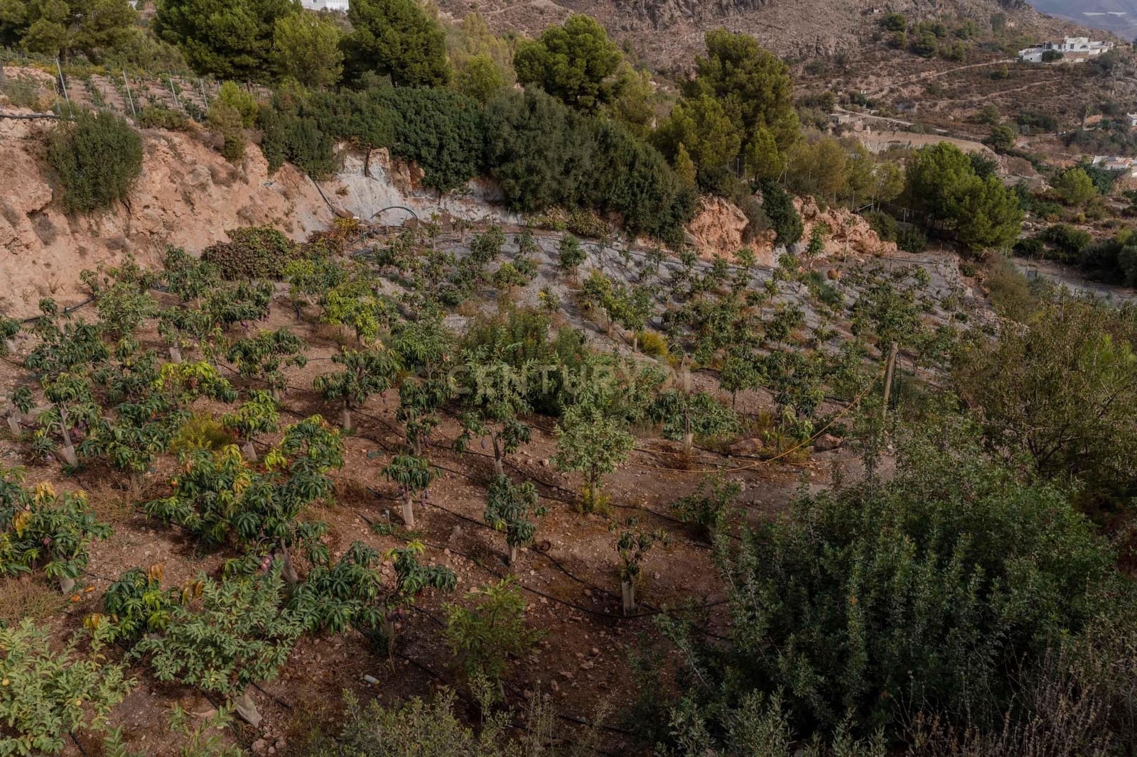 Finca/Landehus til salg i Gualchos - € 120.000 (Ref: 9525915)